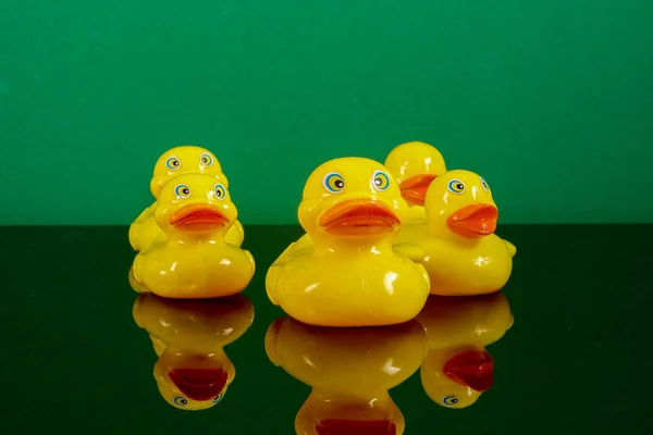 Een Groep Van Eenden Grote Eend Met Reflectie Groene Achtergrond — Stockfoto