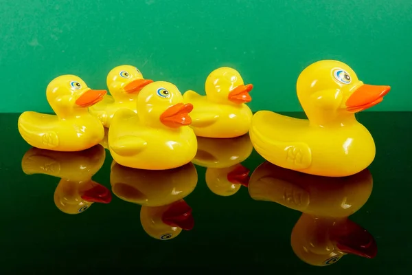 Grupo Patos Seguindo Pato Grande Com Reflexão Sobre Fundo Verde — Fotografia de Stock