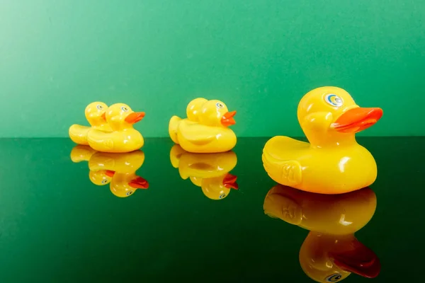 Een Groep Van Eenden Grote Eend Met Reflectie Groene Achtergrond — Stockfoto