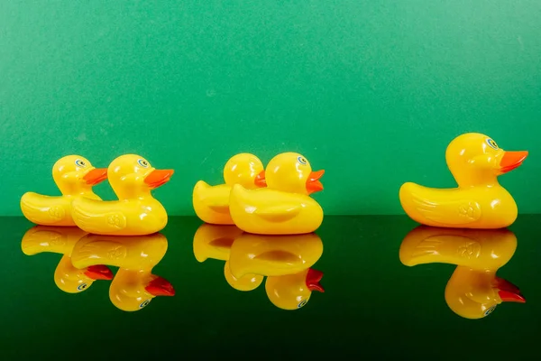 Ördekler yeşil arka plan üzerinde yansıması ile büyük ördek takip grubu. Liderlik kavramsal.