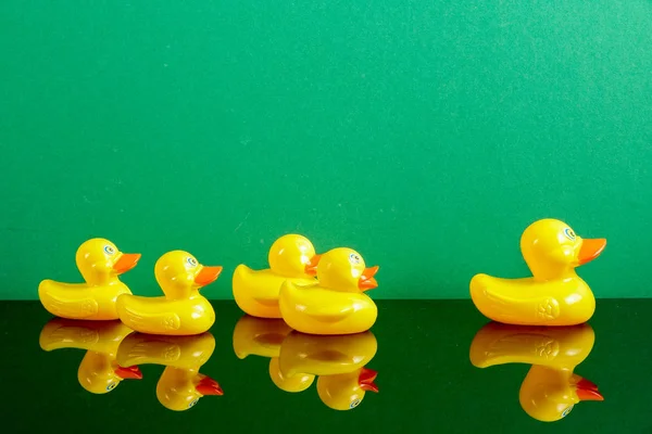 A group of ducks following big duck with reflection over green background. Leadership conceptual.