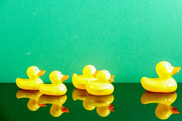 Ördekler yeşil arka plan üzerinde yansıması ile büyük ördek takip grubu. Liderlik kavramsal.