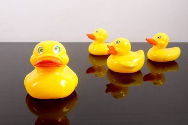 Büyük ördek takip ördekler grubu. Liderlik kavramsal.