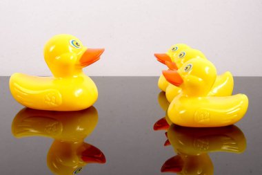 Büyük ördek takip ördekler grubu. Liderlik kavramsal.