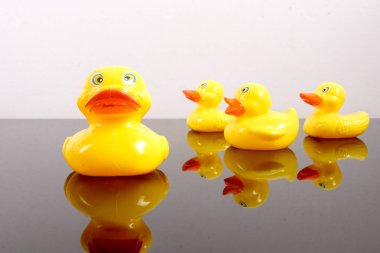 Büyük ördek takip ördekler grubu. Liderlik kavramsal.