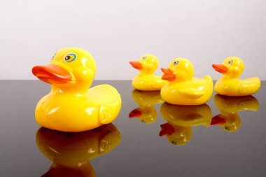 Büyük ördek takip ördekler grubu. Liderlik kavramsal.