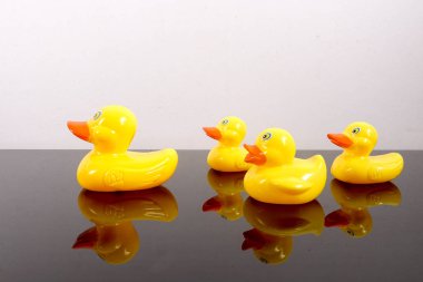 Büyük ördek takip ördekler grubu. Liderlik kavramsal.