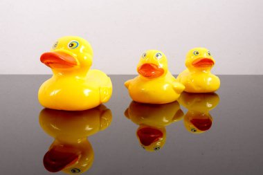 Büyük ördek takip ördekler grubu. Liderlik kavramsal.