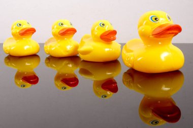 Büyük ördek takip ördekler grubu. Liderlik kavramsal.