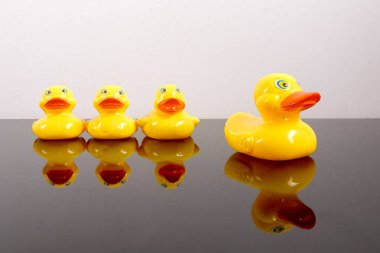 Büyük ördek takip ördekler grubu. Liderlik kavramsal.