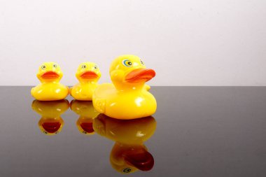 Büyük ördek takip ördekler grubu. Liderlik kavramsal.