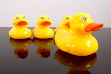 Büyük ördek takip ördekler grubu. Liderlik kavramsal.