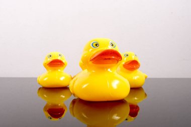 Büyük ördek takip ördekler grubu. Liderlik kavramsal.