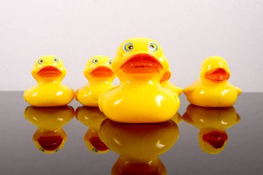 Büyük ördek takip ördekler grubu. Liderlik kavramsal.