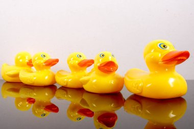 Büyük ördek takip ördekler grubu. Liderlik kavramsal.