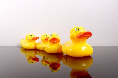 Büyük ördek takip ördekler grubu. Liderlik kavramsal.