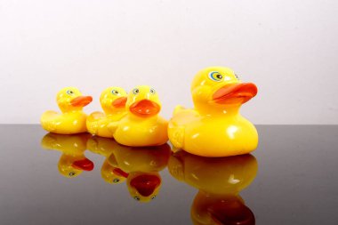 Büyük ördek takip ördekler grubu. Liderlik kavramsal.