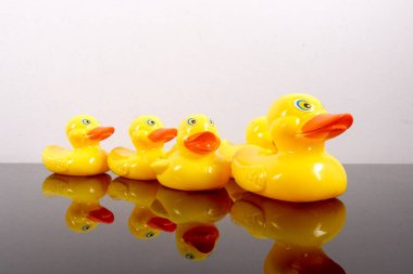 Büyük ördek takip ördekler grubu. Liderlik kavramsal.