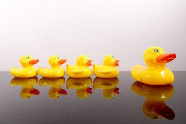 Büyük ördek takip ördekler grubu. Liderlik kavramsal.