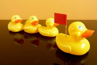 Büyük ördek takip ördekler grubu. Liderlik kavramsal.