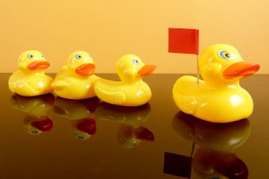 Büyük ördek takip ördekler grubu. Liderlik kavramsal.