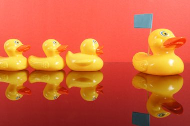 Büyük ördek takip ördekler grubu. Liderlik kavramsal.