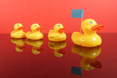 Büyük ördek takip ördekler grubu. Liderlik kavramsal.