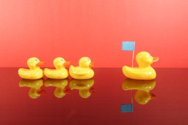 Büyük ördek takip ördekler grubu. Liderlik kavramsal.