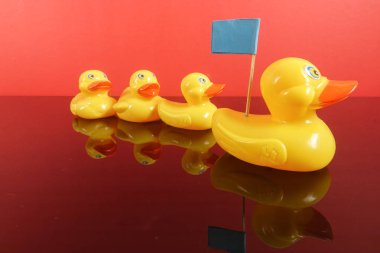 Büyük ördek takip ördekler grubu. Liderlik kavramsal.