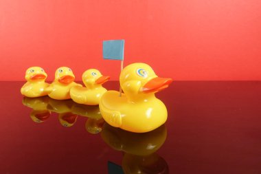 Büyük ördek takip ördekler grubu. Liderlik kavramsal.