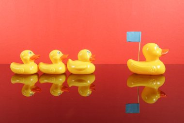 Büyük ördek takip ördekler grubu. Liderlik kavramsal.