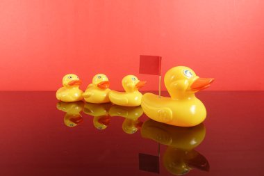 Büyük ördek takip ördekler grubu. Liderlik kavramsal.