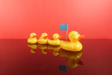 Büyük ördek takip ördekler grubu. Liderlik kavramsal.