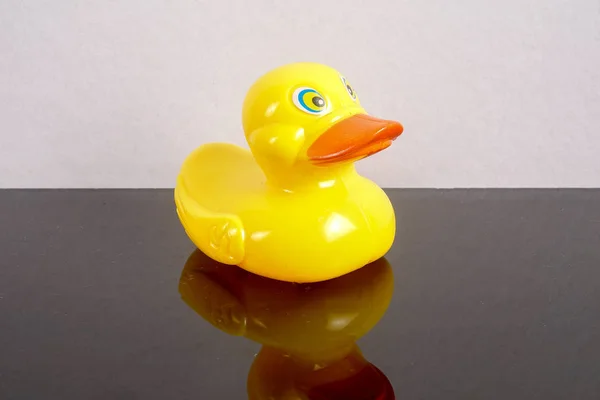 Canard Jaune Isolé Sur Blanc Avec Refflection Miroir Leadership Conceptuel — Photo