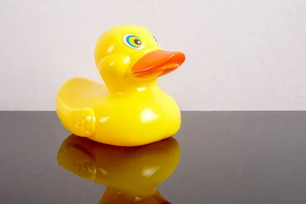 A yellow duck isolated on white with mirror refflection. Leadership conceptual.