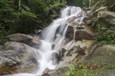 tropik ormandaki küçük şelaleler.