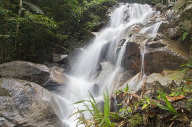 tropik ormandaki küçük şelaleler.