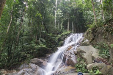 tropik ormandaki küçük şelaleler.