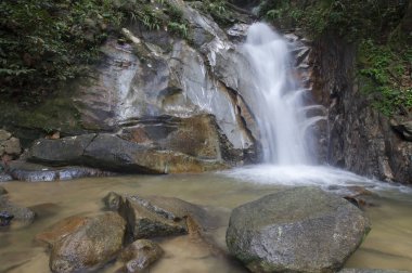 tropik ormandaki küçük şelaleler.