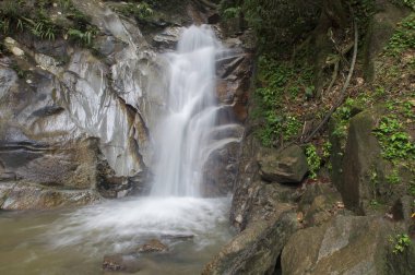 tropik ormandaki küçük şelaleler.