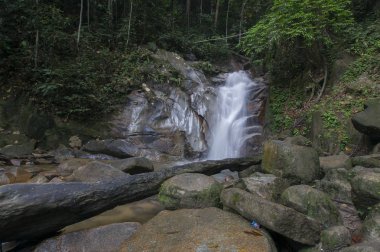 tropik ormandaki küçük şelaleler.