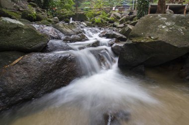 tropik ormandaki küçük şelaleler.