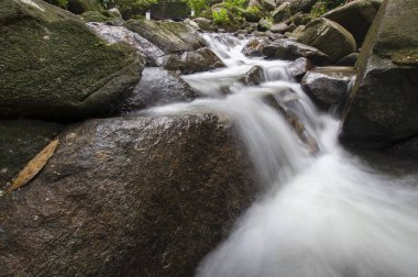 tropik ormandaki küçük şelaleler.