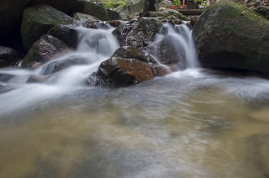 tropik ormandaki küçük şelaleler.