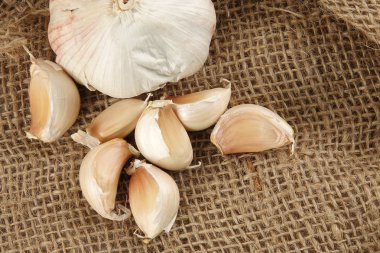 Soğan kahverengi halı zemin üzerine.