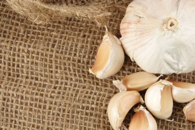 Soğan kahverengi halı zemin üzerine.