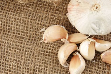 Soğan kahverengi halı zemin üzerine.