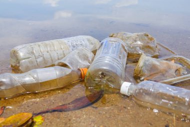 Kötü çevre alışkanlığı olmayan biyolojik Pvc bardak ve şişeler bir gölde uygunsuz elden çıkarma. Seçici odak