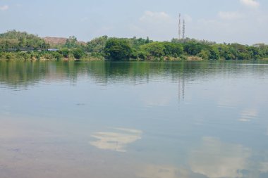 Göl kıyısındaki parlak gün boyunca doğal görünümünü. Seçici odak.