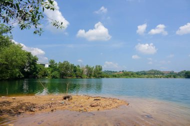 Göl kıyısındaki parlak gün boyunca doğal görünümünü. Seçici odak.